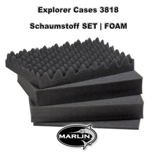 Explorer Cases 3818 Set FOAM
