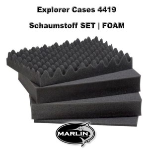 Explorer Cases 4419 Set FOAM
