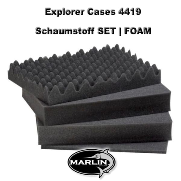 Explorer Cases 4419 Set FOAM