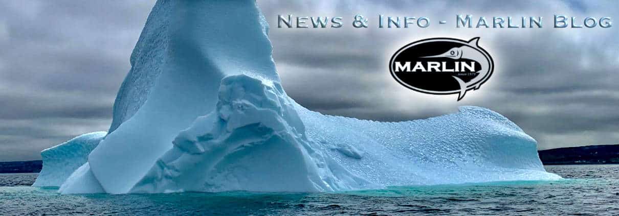 Info News Blog Marlin